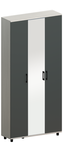 SK_5031_Antracite+SY_mirror1